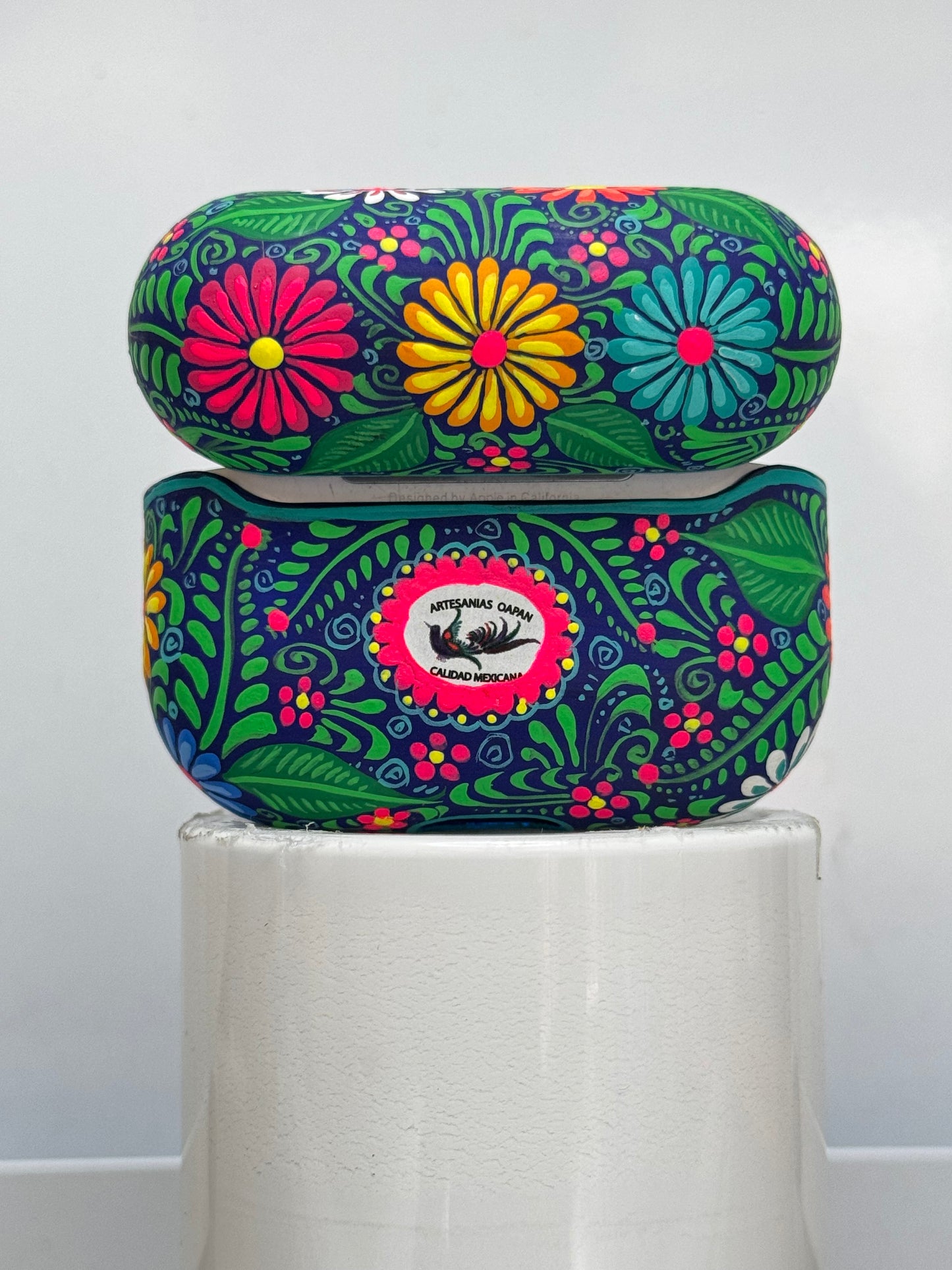 Funda de AirPods (colibrí colorido)